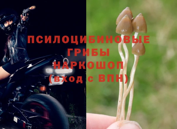 a pvp Арсеньев